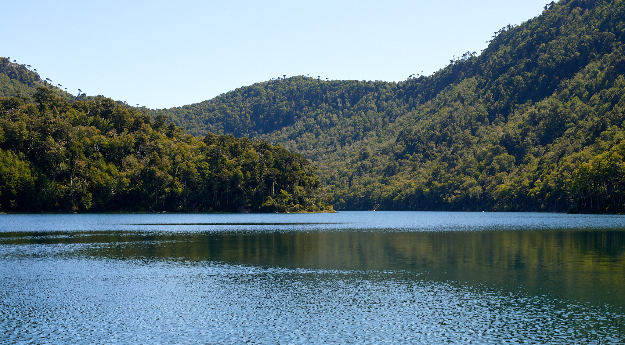 20200317 895 [칠레] 푸콘 우에르케우에 국립공원 트레킹